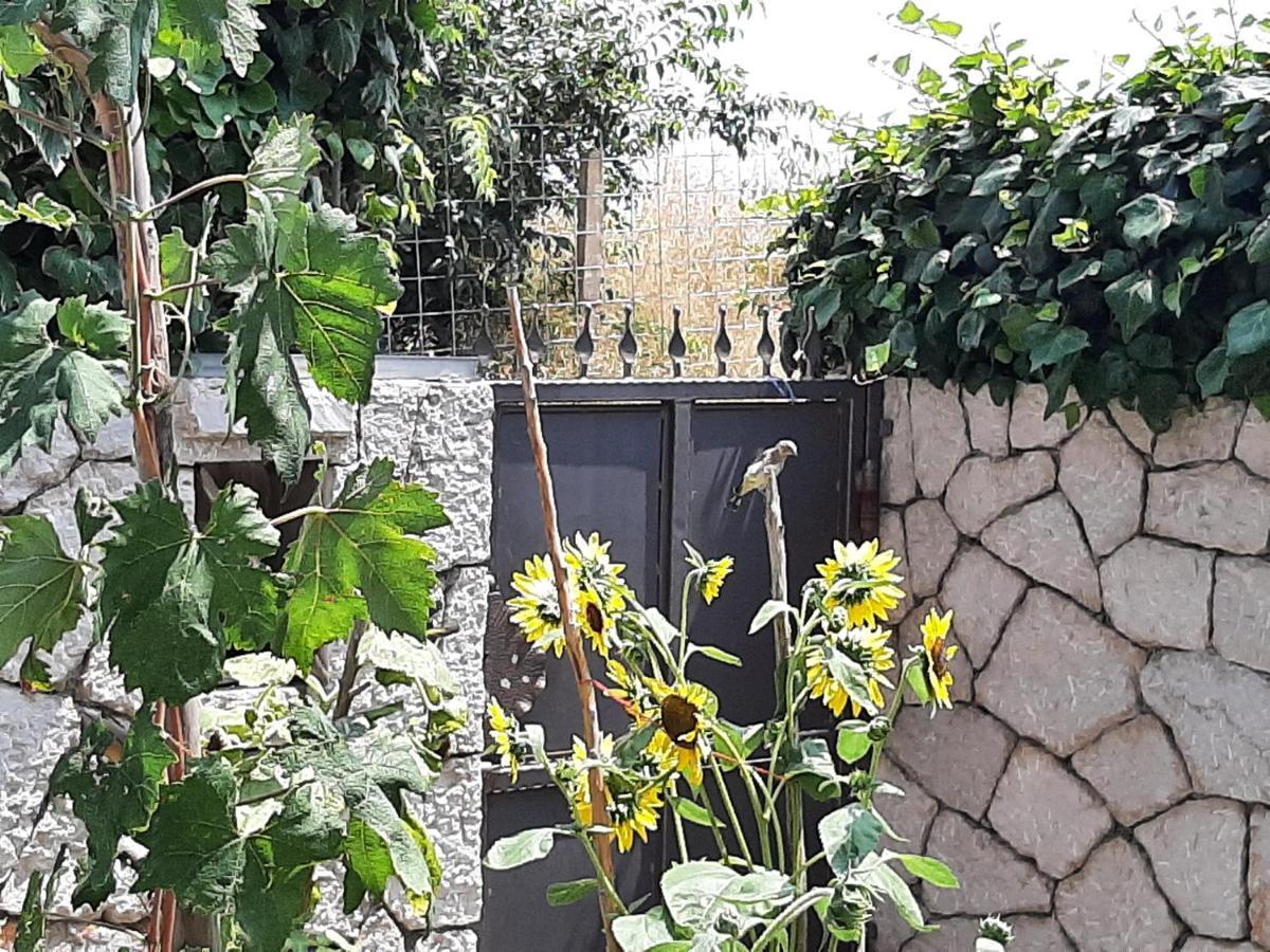 Dubrovnik Apartment Nepe Luaran gambar