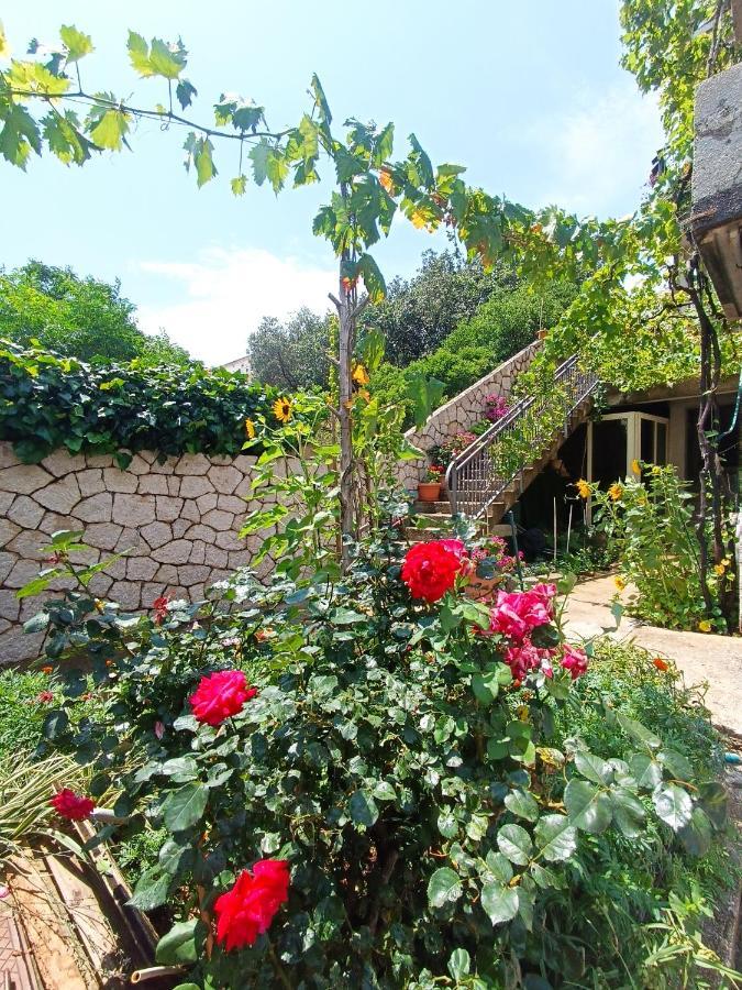 Dubrovnik Apartment Nepe Luaran gambar